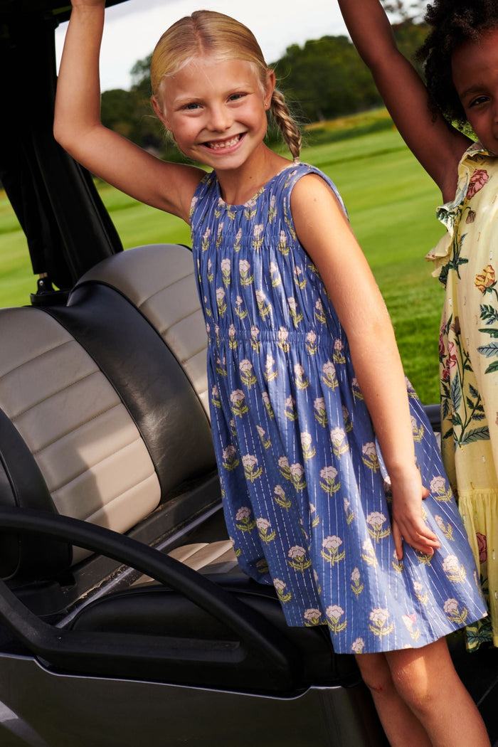 Get your little girl ready for any occasion with the Girls Sleeveless Waverly Dress from Pink Chicken! The elegant blue background and sparkling pinstripe are complemented by delicate pink flowers, making this dress a perfect choice for any event. Its classic sheath top and A-line skirt silhouette will ensure she looks stylish and comfortable.