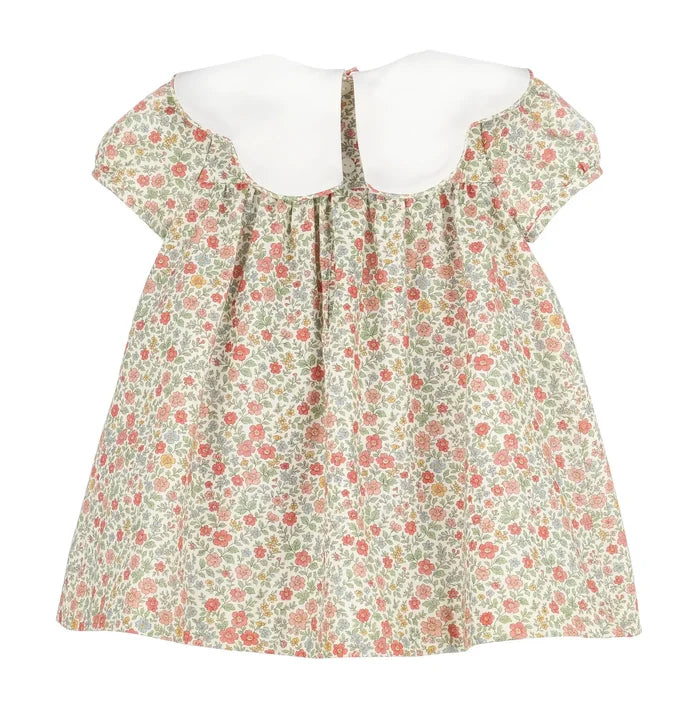 Celebrate every moment with the Orange Storybook Vintage Scallop Collar Dress by Sophie and Lucas. Its crisp white petal collar and vibrant orange floral print bring warmth and charm to fall gatherings and timeless portraits alike. Isn’t it time your little one wore a story worth telling?